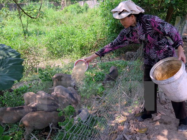 Вьетнам активизирует агитационно-пропагандистскую работу в горных районах страны